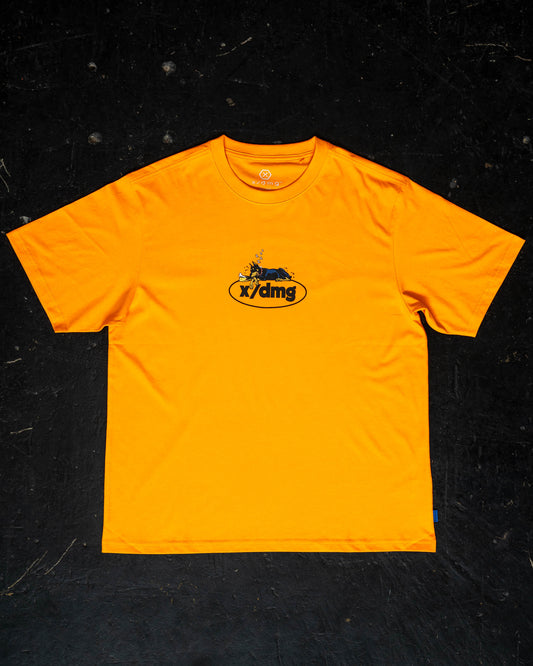 XD02604109_ORANGE_2_1764046141