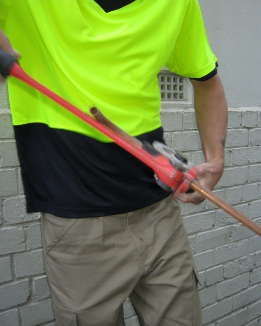 XU02504110_YELLOW_8_1788486148